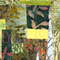 Clairiere 1